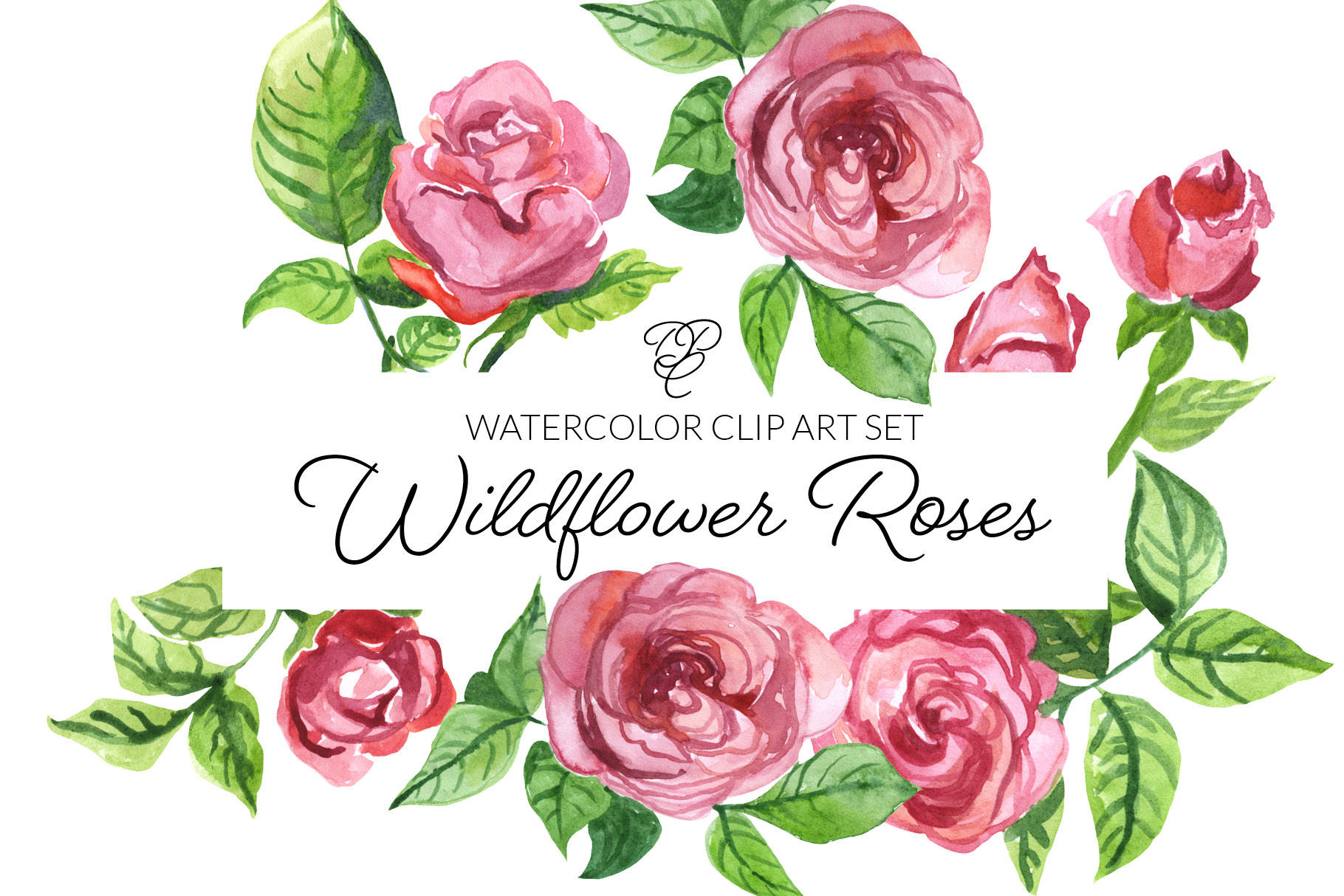 Watercolor Roses Clipart | digitalpresscreation.com