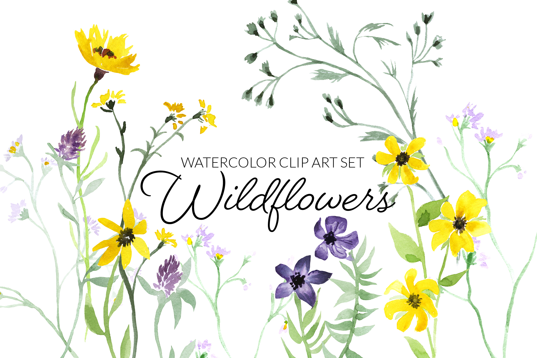 Watercolor Wildflowers Clipart Digital Press Creation